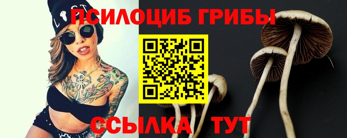 Дмитров  Псилоцибиновые грибы мухоморы  Галлюциногенные грибы GOLDEN TEACHER  Вход с VPN 