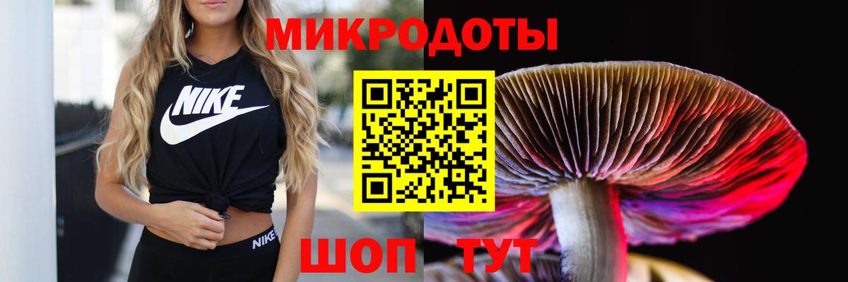 Галлюциногенные грибы мухоморы Дмитров